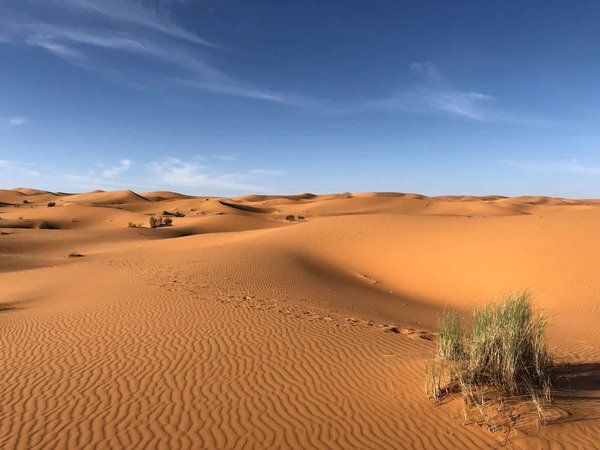 Comment organiser une excursion dans le désert du Sahara sans guide touristique?